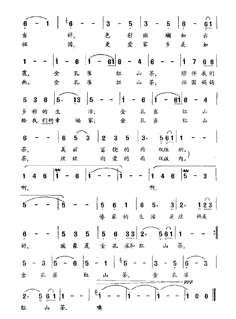 金孔雀和红山茶