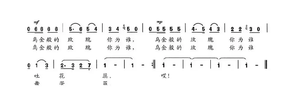 黑玫瑰（赵金词 赵金曲）