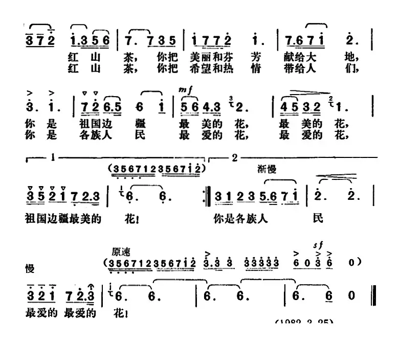 我爱春城红山茶