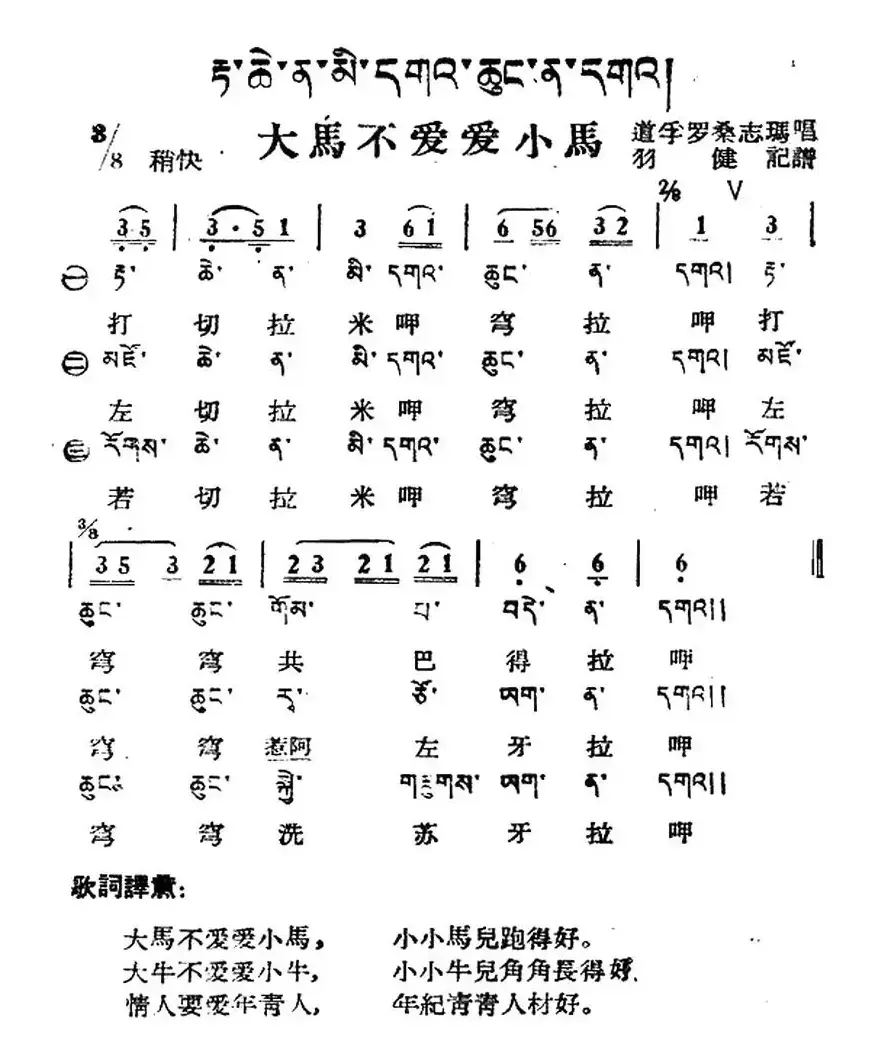 大马不爱爱小马（藏族民歌、藏文及音译版）