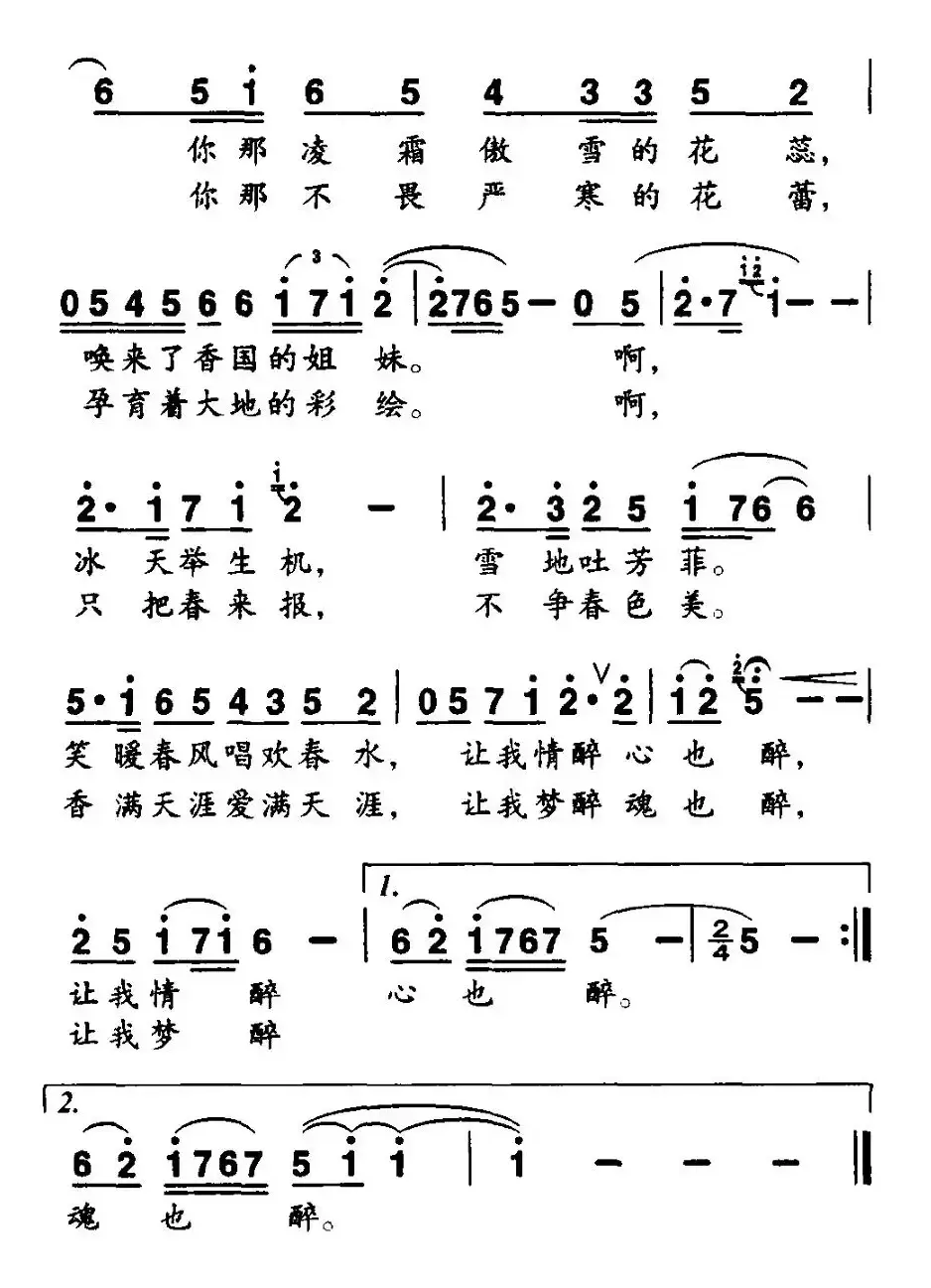 雪中红梅