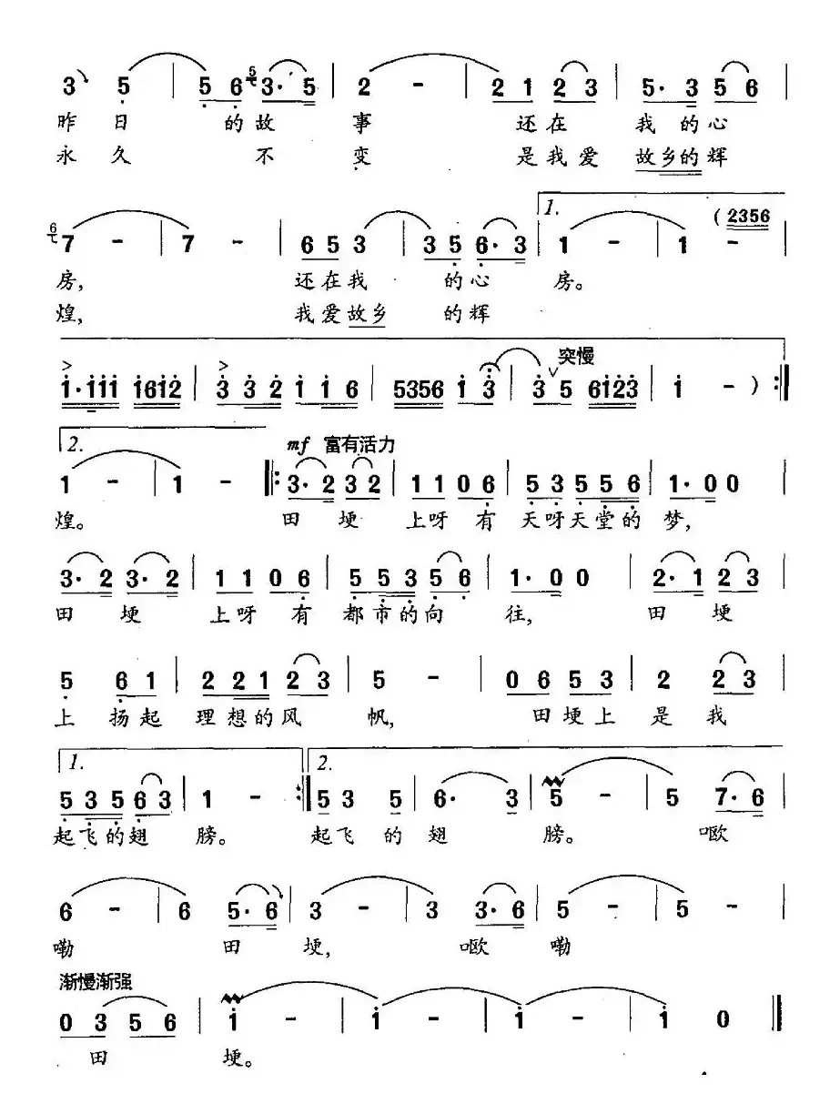 漫步在故乡的田埂上