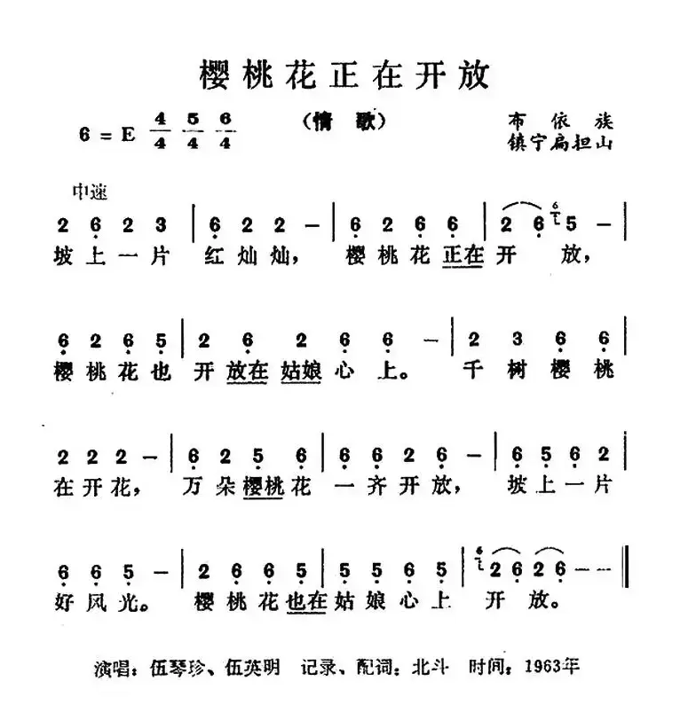 樱桃花正在开放