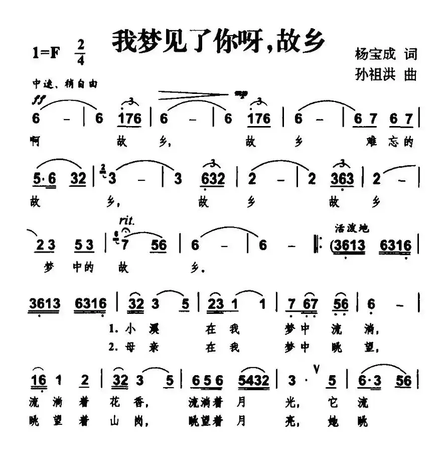 我梦见了你呀，故乡