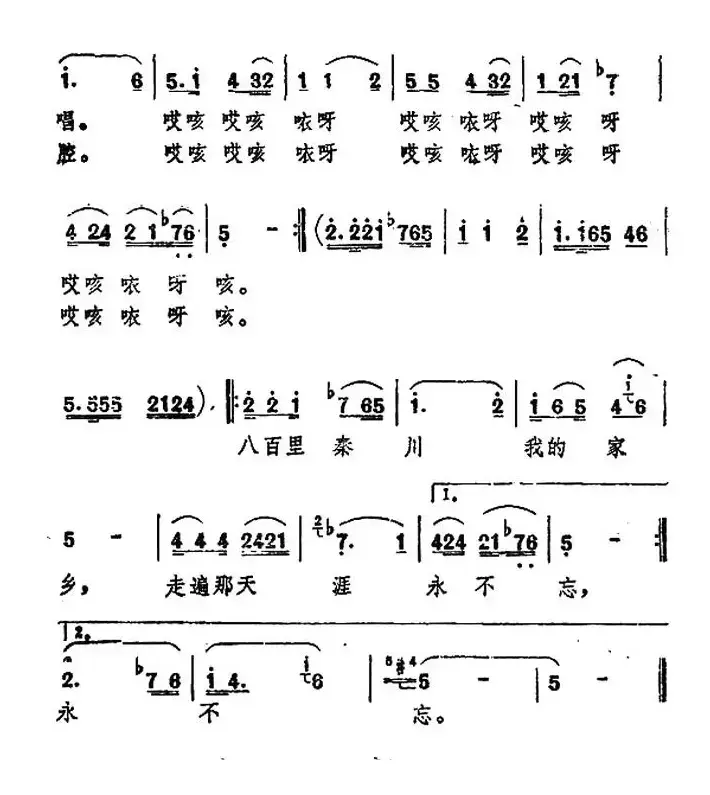 八百里秦川我的家乡