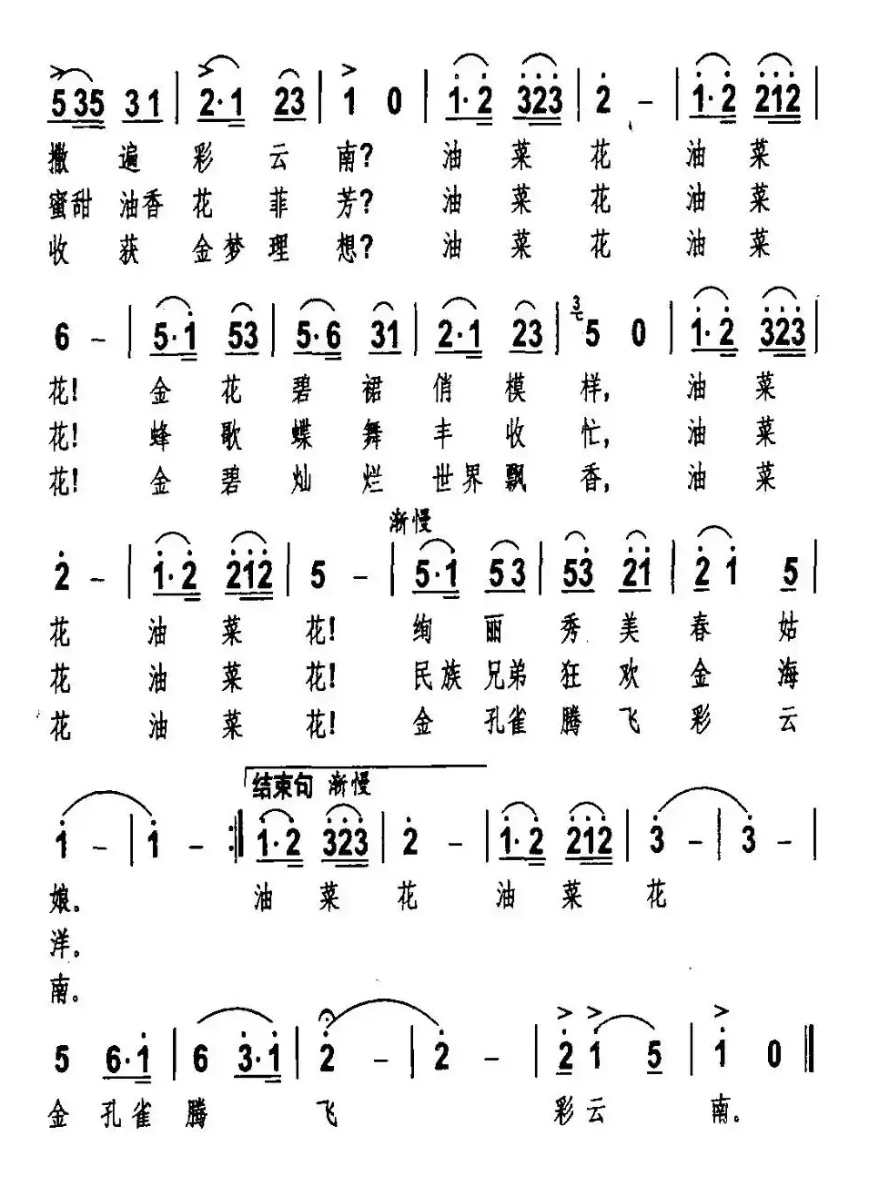 油菜花飞彩云南