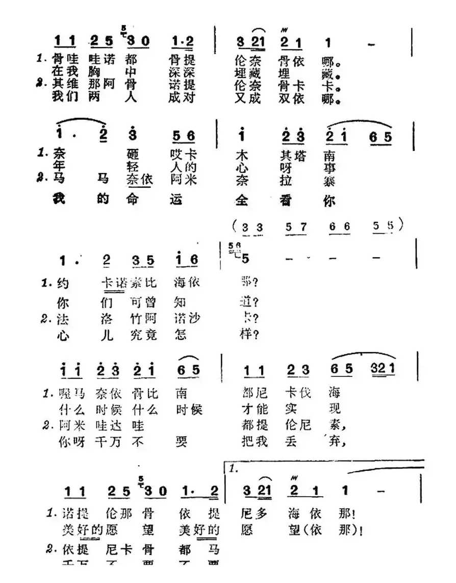 马兰恋歌