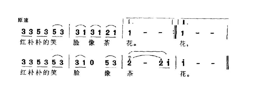 瑶山茶花