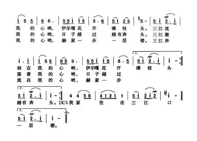 伊尔嘎花开满枝头