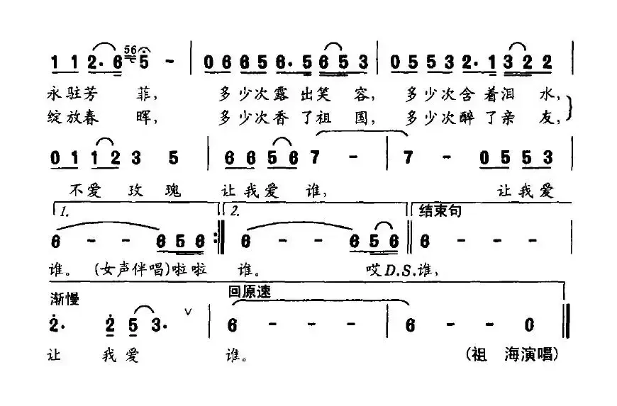 中华玫瑰