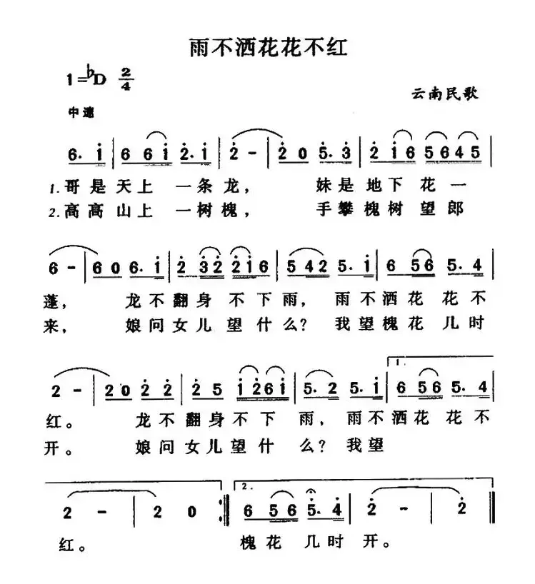 雨不洒花花不红（云南民歌、5个版本）