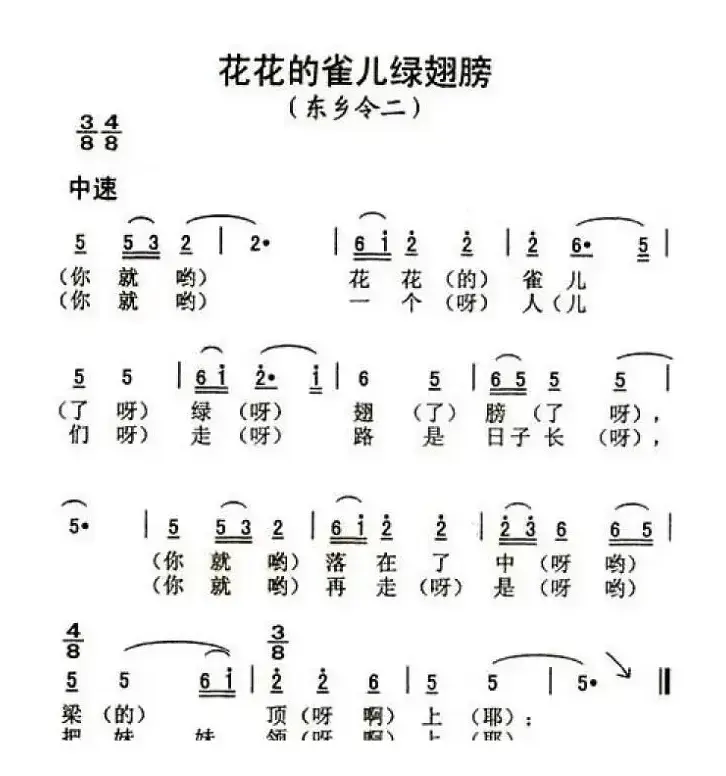 花花的雀儿绿翅膀