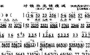 [京剧唱谱]对镜容光惊瘦减《鸳鸯冢》选段 京胡伴奏谱