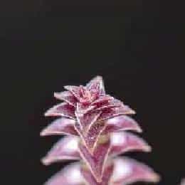 邵沅信的头像