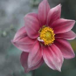 张辰乾的头像