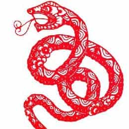 汤淇桐的头像