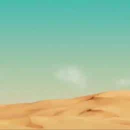陈宛姝的头像